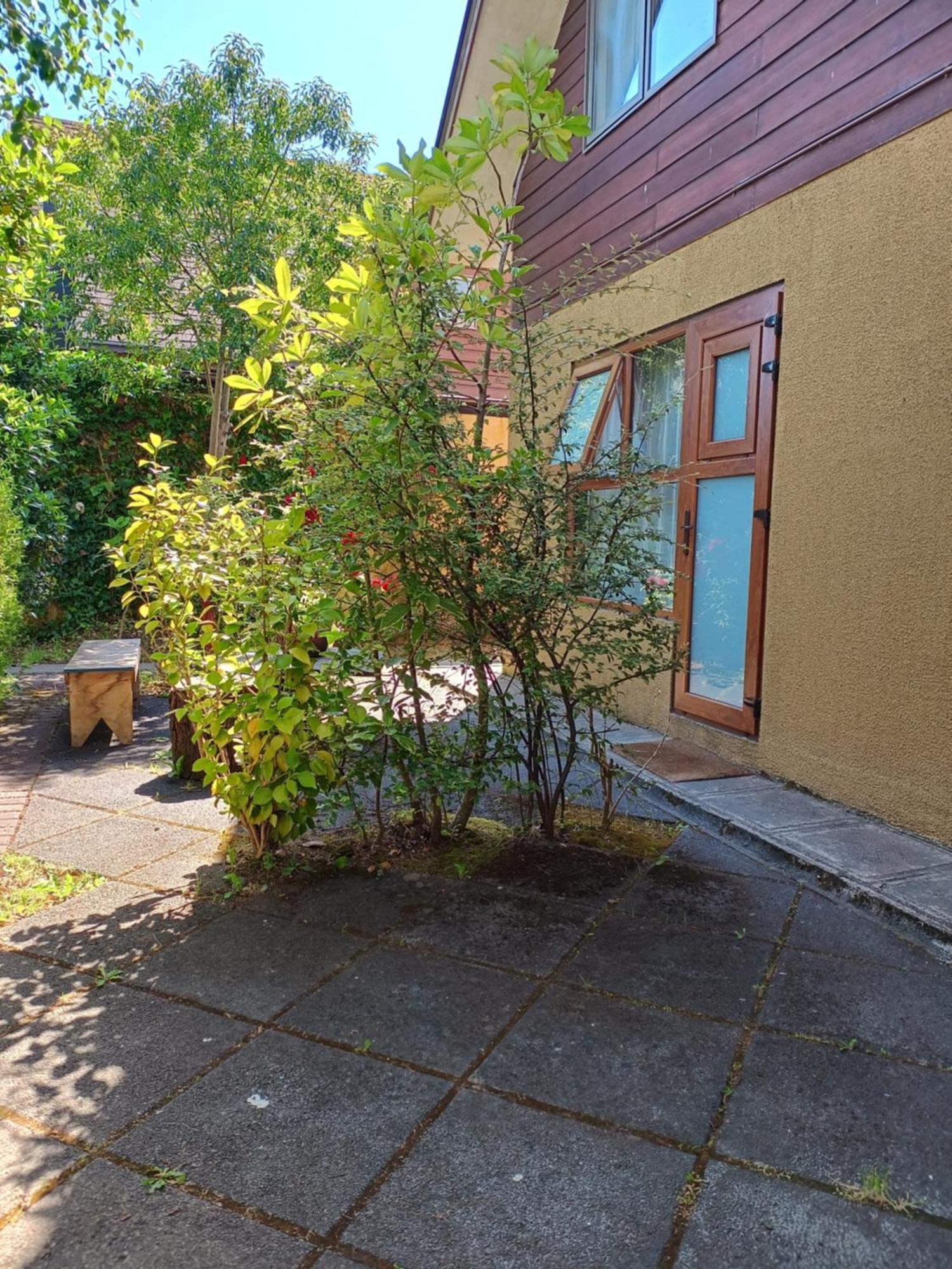 Borde Lago I - II -Iii Puerto Varas Ngoại thất bức ảnh